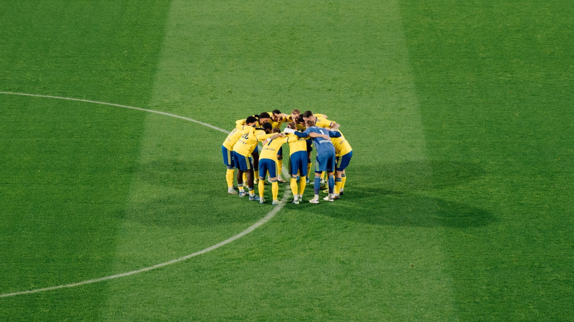 Grasmat Kooi Stadion als gedeeld beste verkozen in de KKD